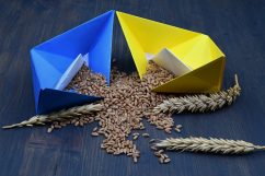 Mozgósítják az uniós logisztikai ágazatot az ukrán gabona érdekében